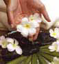 Talise SPA
