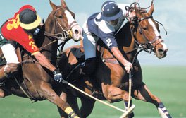 Дома Polo homes от группы Emaar