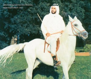 Шейх Заед бин Султан Аль Нахайян, 