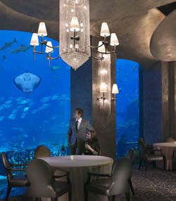 Ossiano Bar