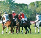 Светский раут: Кубок Cartier по поло 2011