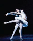 Безупречная классика Abu Dhabi Festival Безупречная классика Abu Dhabi Festival