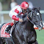 Dubai World Cup
