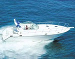 Ambassador 36