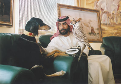 Saluki