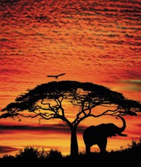 Kenya