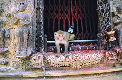 Nepal