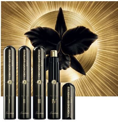 ORCHIDÉE IMPÉRIALE BLACK