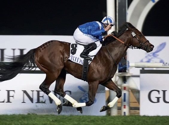 скачки Meydan Horse Races на ипподроме Мейдан в Дубае