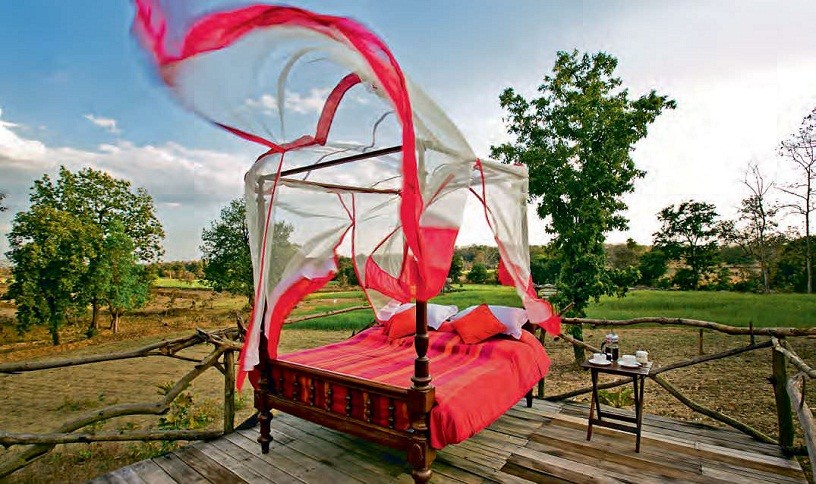 Jamtara Wilderness Camp, Индия