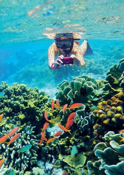 карибские острова подводное плавание