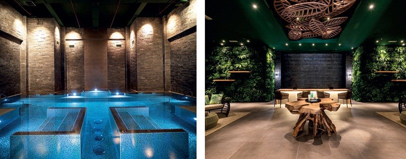SPA-центр Rainforest