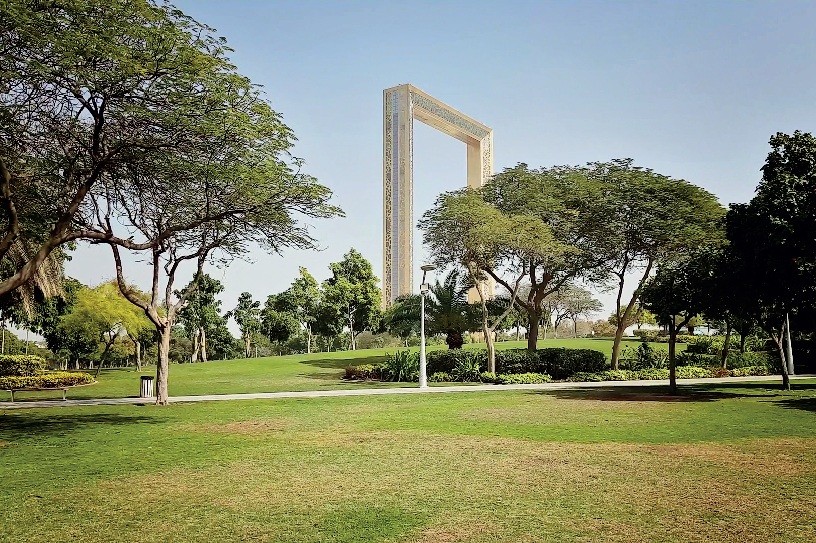 Пикник в парке