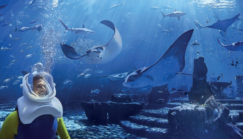 Курорт Atlantis The Palm аттракцион Aquatrek Xtreme