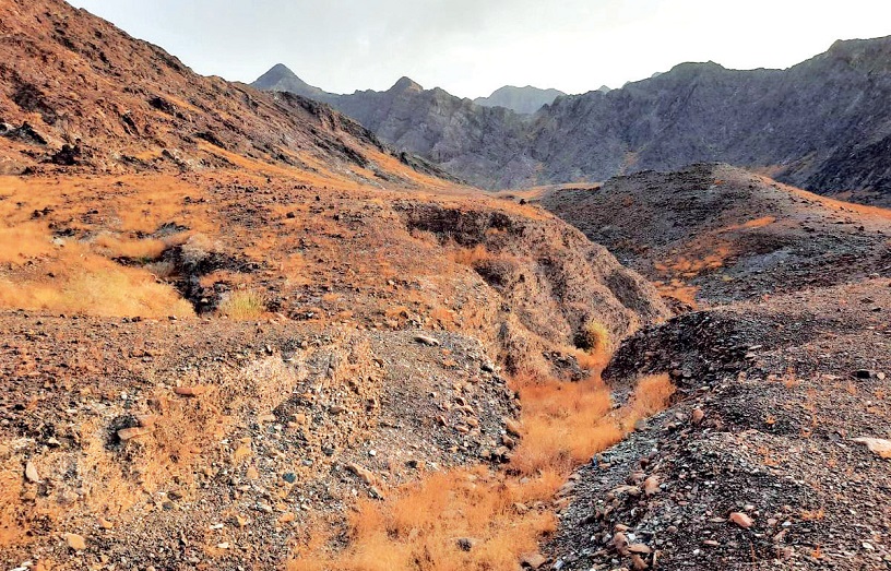 Wadi Aasimah