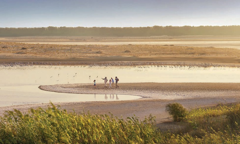 Al Wathba Wetland Reserve