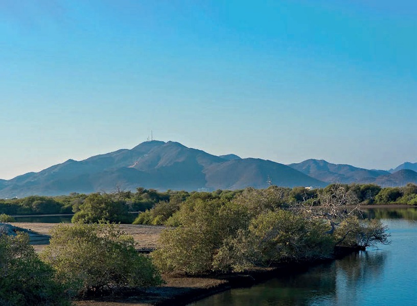 Kalba Conservation Reserve