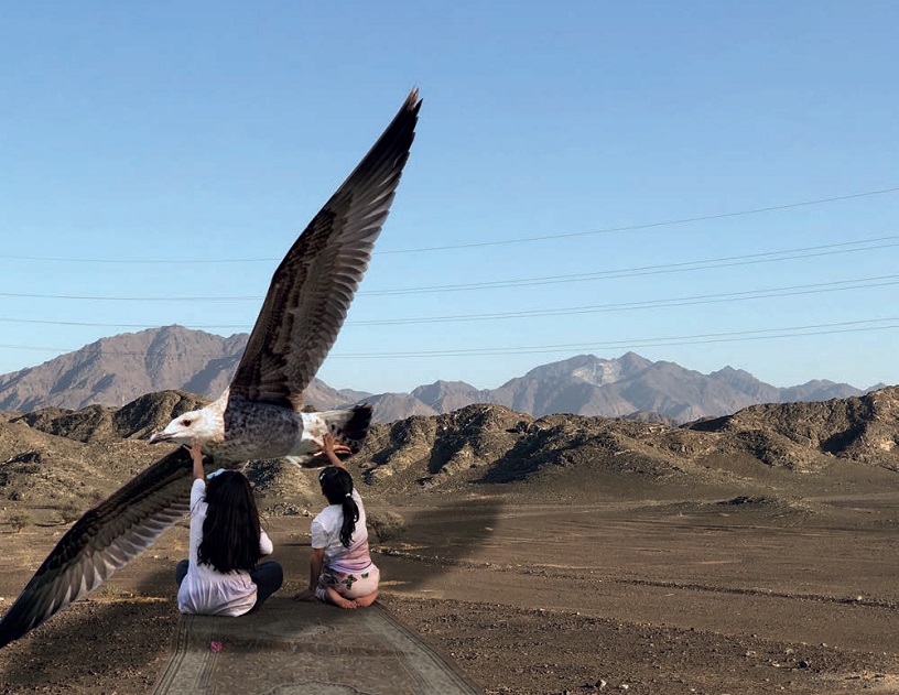 Alia Al Gaoud's 'Flight'. NFT. 50/50 collection