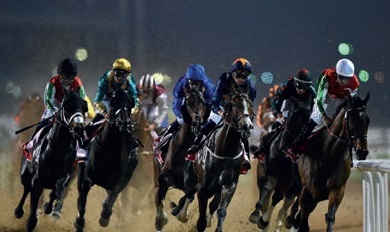 Dubai World Cup