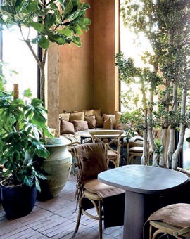 Terra Eatery