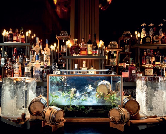 Amelia Lounge