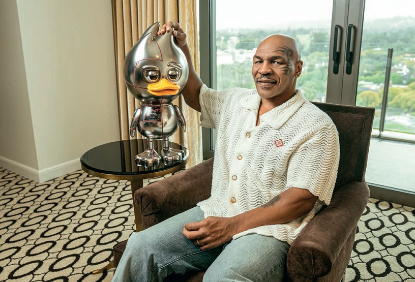 The Ugly Duck Toy