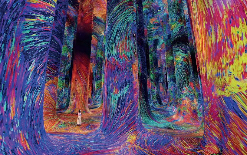 TeamLab Phenomena