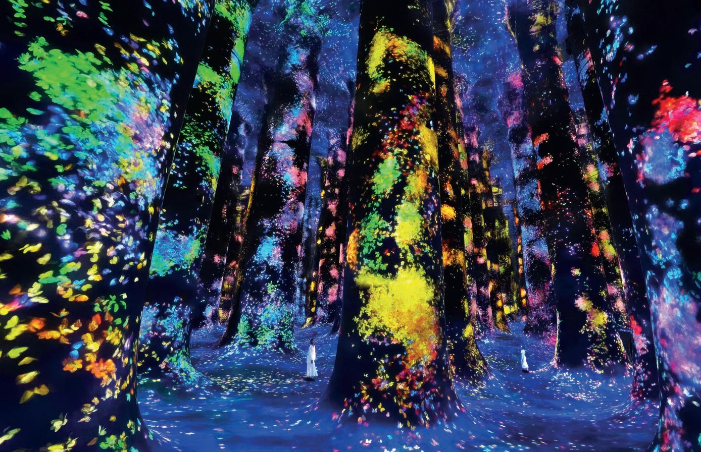 TeamLab Phenomena