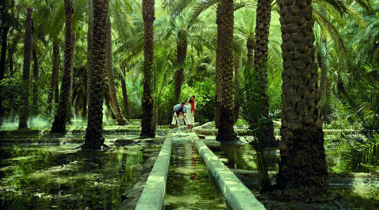 Al Ain Oasis